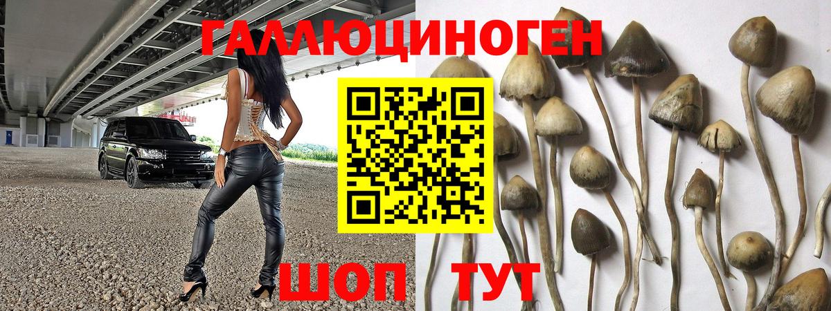 Галлюциногенные грибы ЛСД Салават
