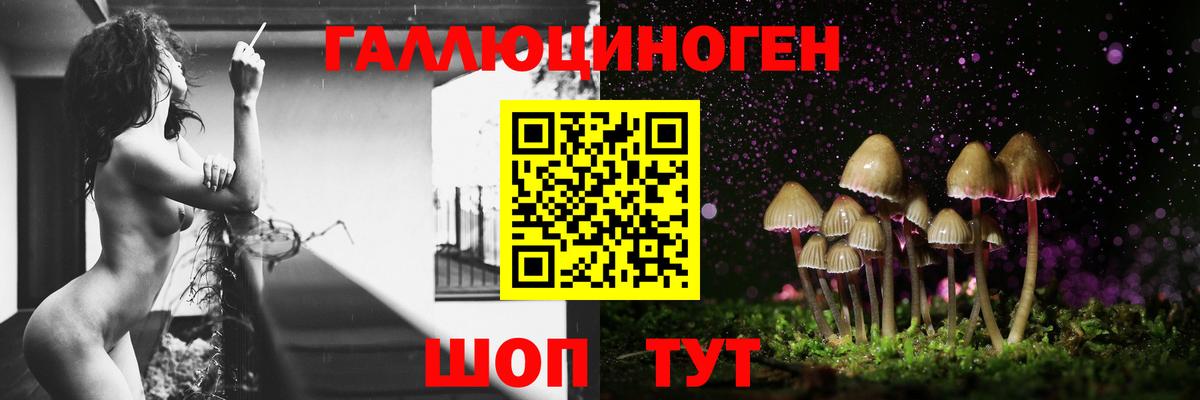 Псилоцибиновые грибы Cubensis  Вход с VPN  Салават  Псилоцибиновые грибы ЛСД 